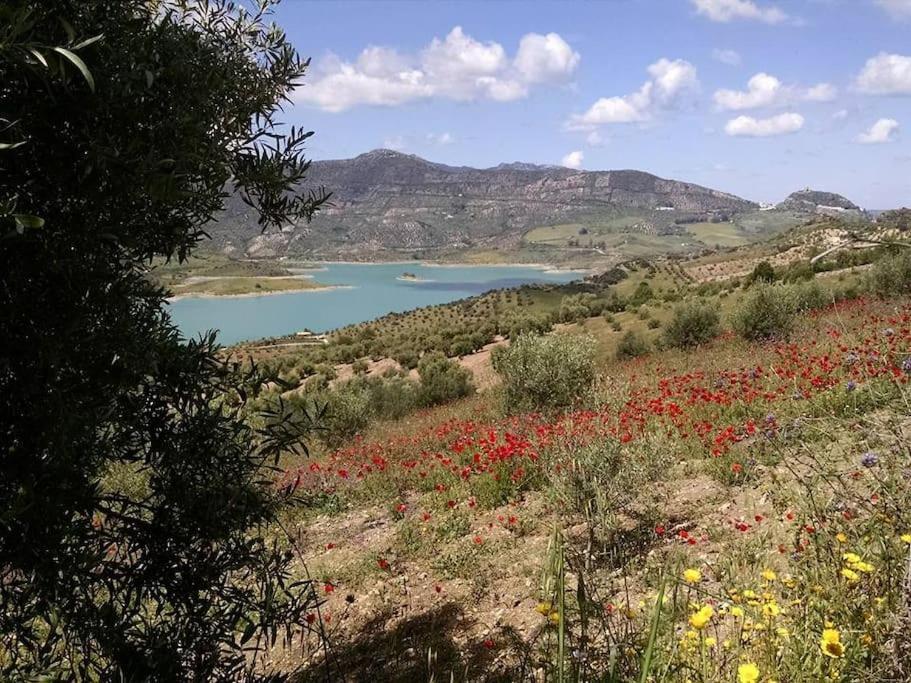 Casa De Las Flores - A Picture Perfect Location! エル・ガストル エクステリア 写真