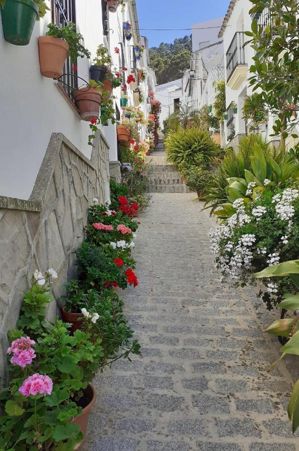 Casa De Las Flores - A Picture Perfect Location! エル・ガストル エクステリア 写真